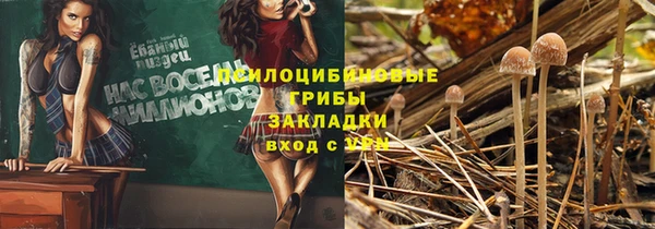 прущий лед Наволоки