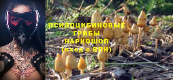 прущий лед Наволоки
