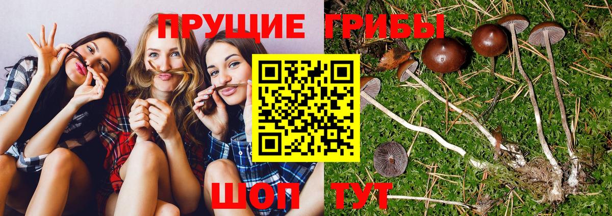 Партизанск  Галлюциногенные грибы мухоморы  наркотики  Вход с VPN 